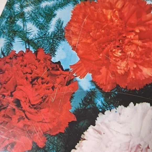 RARE Carr’s of England Floral Tin 💐 | Vintage Cookie Box | Hood-Cottagecore - Picture 10 of 12